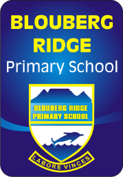 Blouberg Ridge School Diary